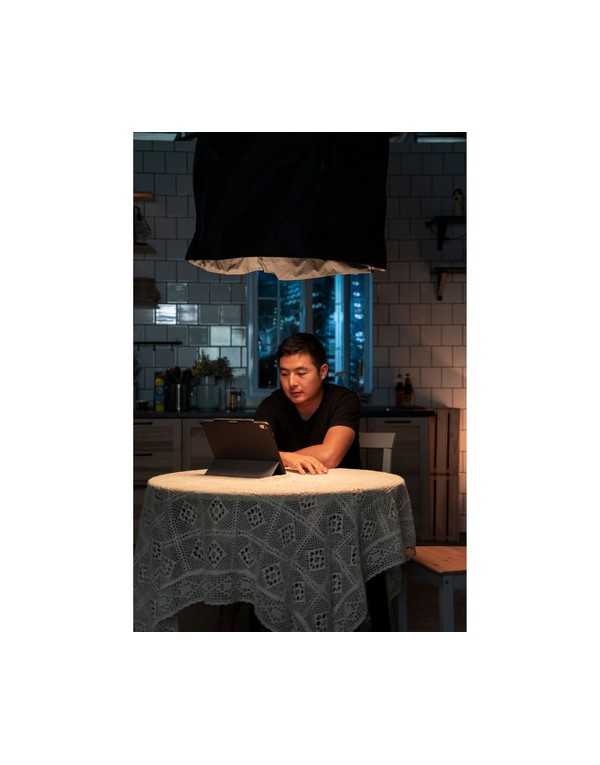 Aputure Lantern Softbox (2.2')