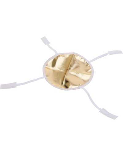 Aputure Light Dome Mini III (22.8")