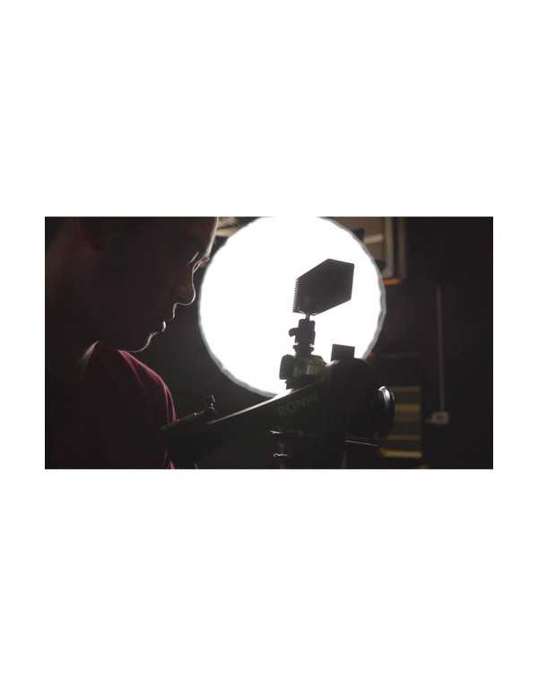 Aputure Amaran AL-MW Mini LED Light