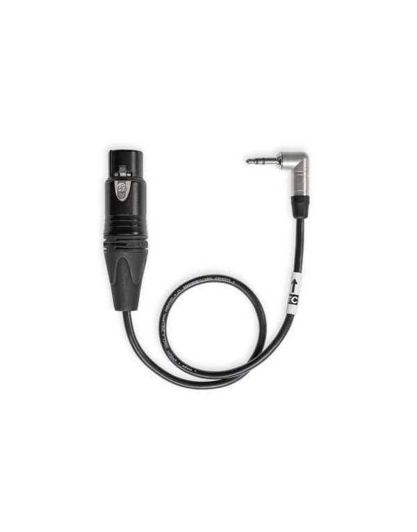 Tentacle Sync 3-Pin XLR Female to Tentacle TC-Jamming Cable (12")