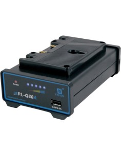 Fxlion Single-Channel Gold-Mount and AN Li-Ion Battery Charger with USB Port