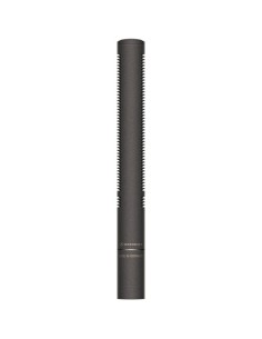 Sennheiser MKH 8060 - Short Shotgun Microphone