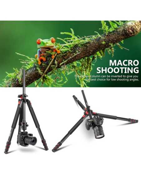 Neewer 2-in-1 Tripod/Monopod (72.4")