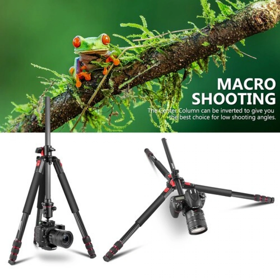 Neewer 2-in-1 Tripod/Monopod (72.4")