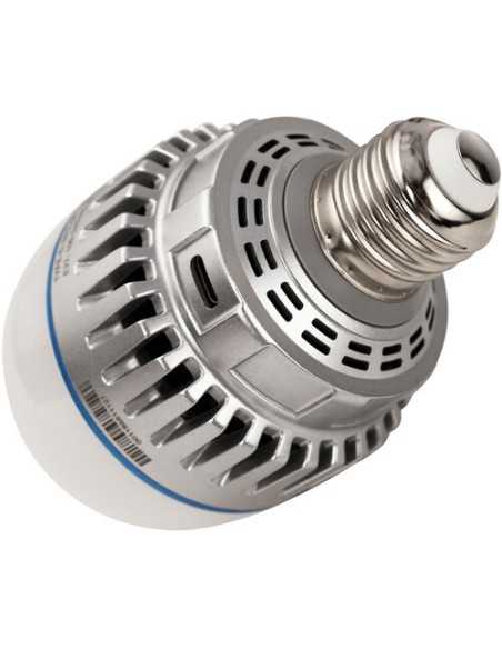 Nanlite PavoBulb 10C Bi-Color RGBWW LED Bulb (4-Light Kit)