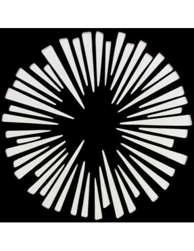 NANLITE Projection Attachment for Bowens Mount with 19 Lens