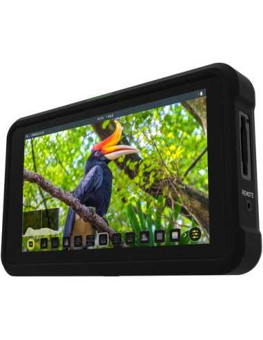 Atomos Shinobi 5" 4K HDMI Monitor