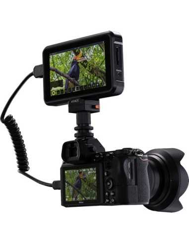 Atomos Shinobi 5" 4K HDMI Monitor