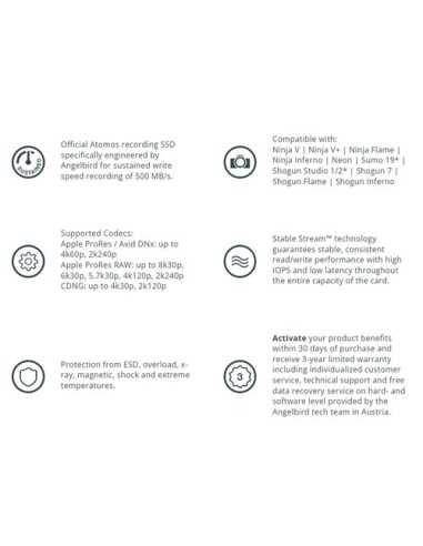 Angelbird 1TB AtomX SSDmini