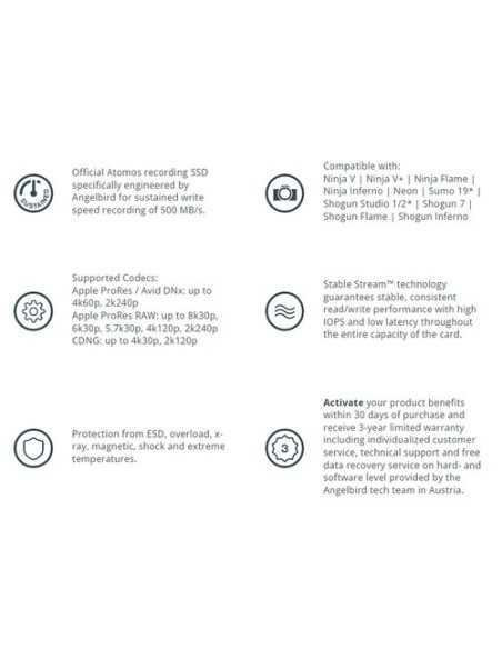 Angelbird 1TB AtomX SSDmini