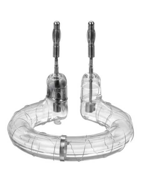 Profoto Flashtube D1 500/1000