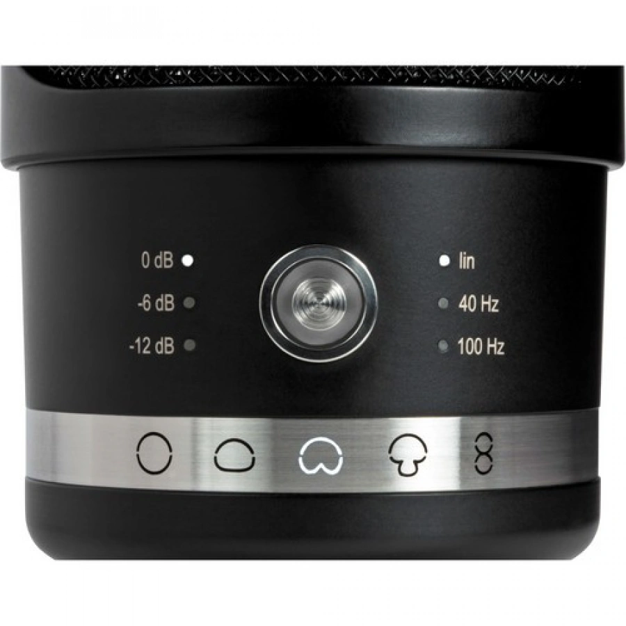 Neumann TLM 107 BK Large-Diaphragm Multipattern Condenser Microphone (Black)