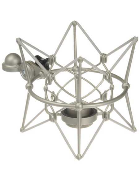 Neumann TLM 67 Set Z Large-Diaphragm Multipattern Condenser Microphone with Accessories