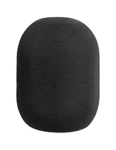 Neumann TLM 67 Set Z Large-Diaphragm Multipattern Condenser Microphone with Accessories