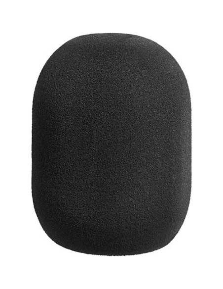 Neumann TLM 67 Set Z Large-Diaphragm Multipattern Condenser Microphone with Accessories