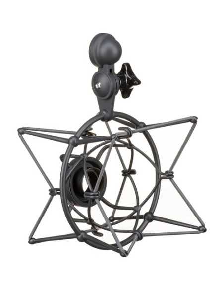 Neumann U 87 Ai MT Large-Diaphragm Multipattern Condenser Microphone (Stereo Set, Black)