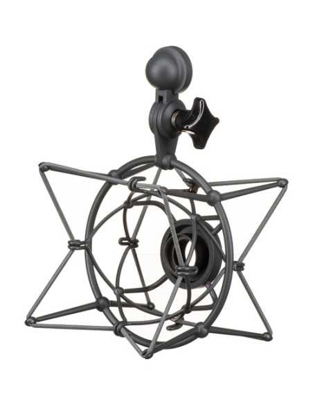 Neumann U 87 Ai MT Large-Diaphragm Multipattern Condenser Microphone (Stereo Set, Black)