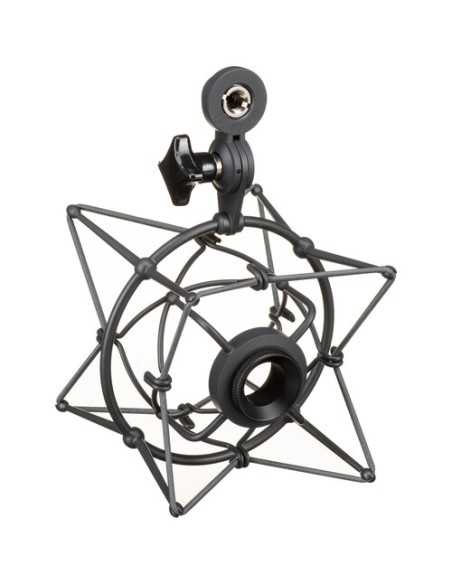 Neumann U 87 Ai MT Large-Diaphragm Multipattern Condenser Microphone (Stereo Set, Black)