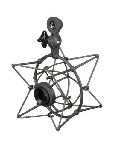 Neumann U 87 Ai MT Large-Diaphragm Multipattern Condenser Microphone (Stereo Set, Black)