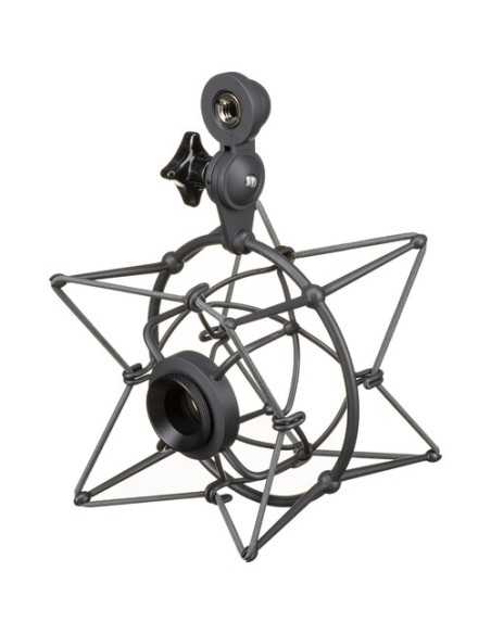 Neumann U 87 Ai MT Large-Diaphragm Multipattern Condenser Microphone (Stereo Set, Black)