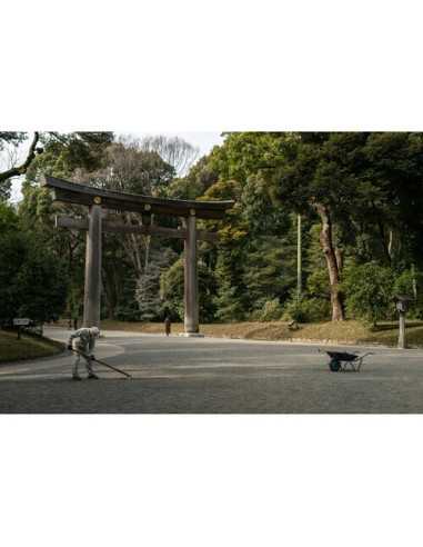 Sigma 56mm f/1.4 DC DN Contemporary Lens (FUJIFILM X)