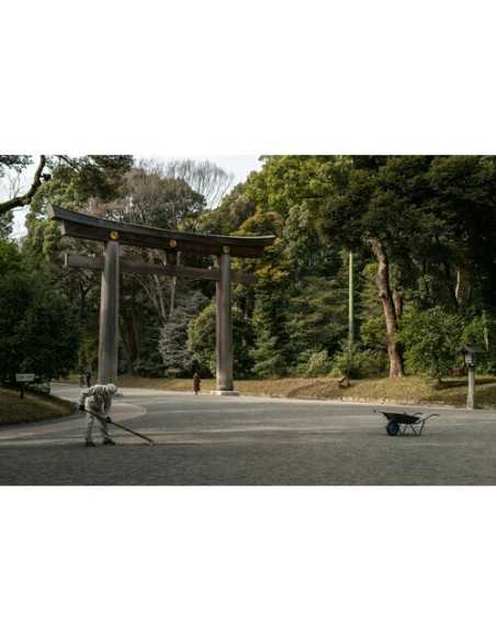 Sigma 56mm f/1.4 DC DN Contemporary Lens (FUJIFILM X)