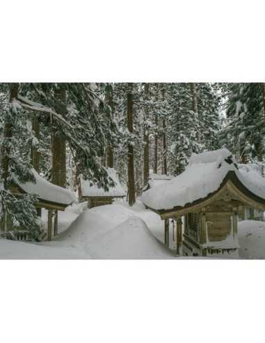 Sigma 56mm f/1.4 DC DN Contemporary Lens (FUJIFILM X)