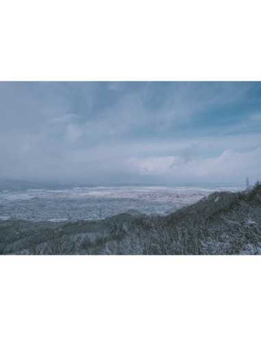 Sigma 56mm f/1.4 DC DN Contemporary Lens (FUJIFILM X)