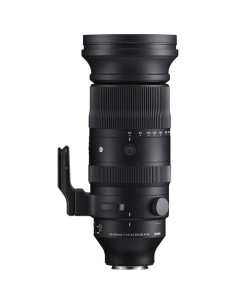 Sigma 60-600mm f/4.5-6.3 DG DN OS Sports Lens (Sony E)