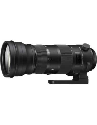 Sigma 150-600mm f/5-6.3 DG OS HSM Sports Lens for Canon EF | SLR Lenses | CAM TOOLS Middle East | SIGMA