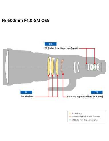 Sony FE 600mm f/4 GM OSS Lens
