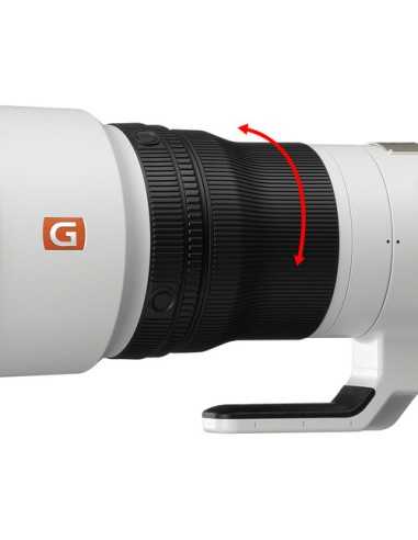 Sony FE 600mm f/4 GM OSS Lens