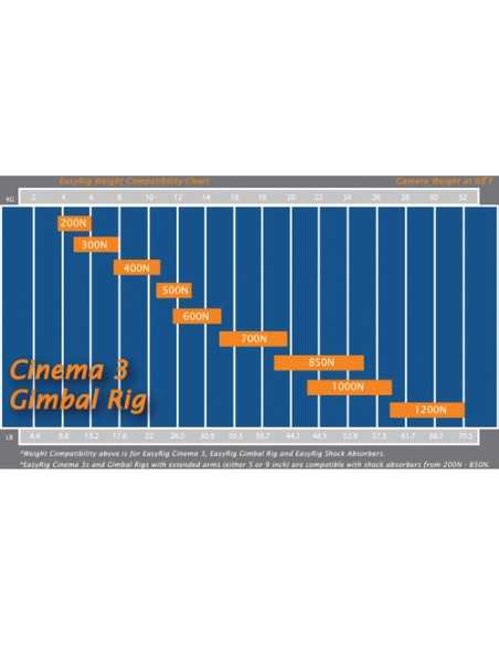 Easyrig Cinema 3 300N Gimbal Rig with Standard Arm