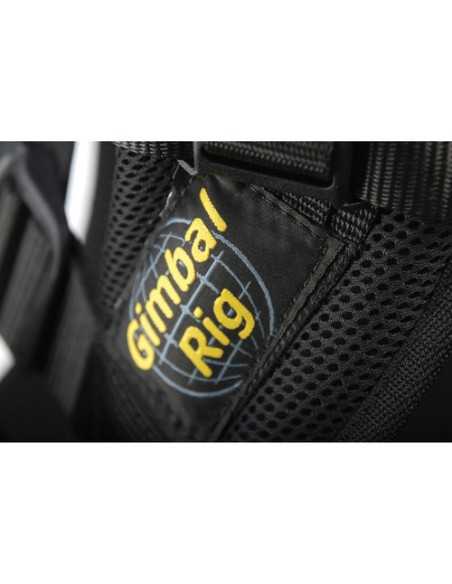 Easyrig Cinema 3 300N Gimbal Rig with Standard Arm