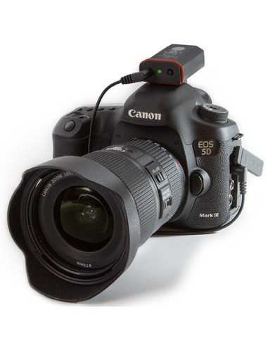 Tentacle Sync Tentacle to DSLR 3.5mm Mini-Jack Cable