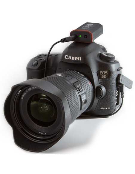 Tentacle Sync Tentacle to DSLR 3.5mm Mini-Jack Cable