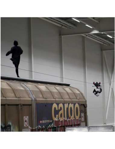 Proaim Sky-Walker Pro Cinema Cablecam System for Camera Gimbals