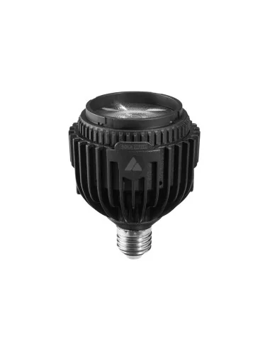 Astera SolaBulb Kit of 8 SolaBulbs | CamTools UAE