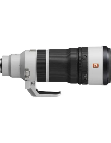 Sony FE 100-400mm f/4.5 GM