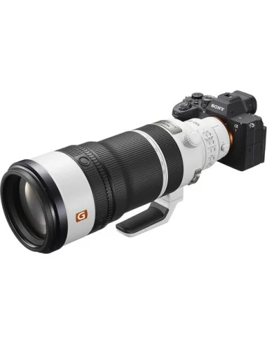 Sony FE 100-400mm f/4.5 GM