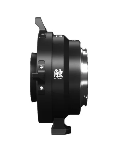 DZOFilm Octopus PL to Canon RF Adapter | CamTools UAE