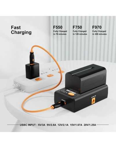 ZGCINE NPF-02 NPF Battery Charger Powering Adapter