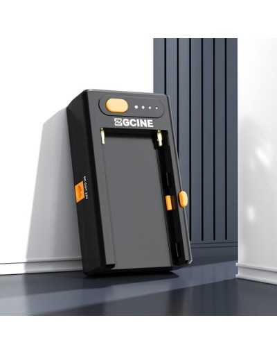 ZGCINE NPF-02 NPF Battery Charger Powering Adapter