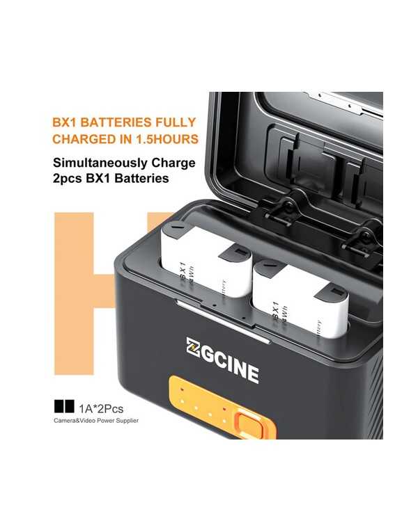 ZGCINE PS-BX1 Kit 2, Charging Case for Sony NP-BX1 battery with 2pcs 1450mah battery
